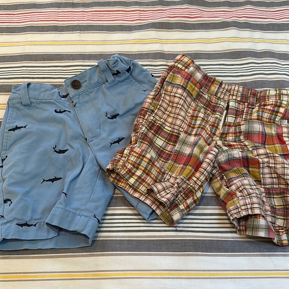 Hanna anderssen  and crew cuts size 4 shorts